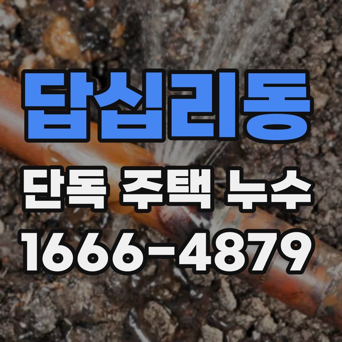 답십리동 단독 주택 누수