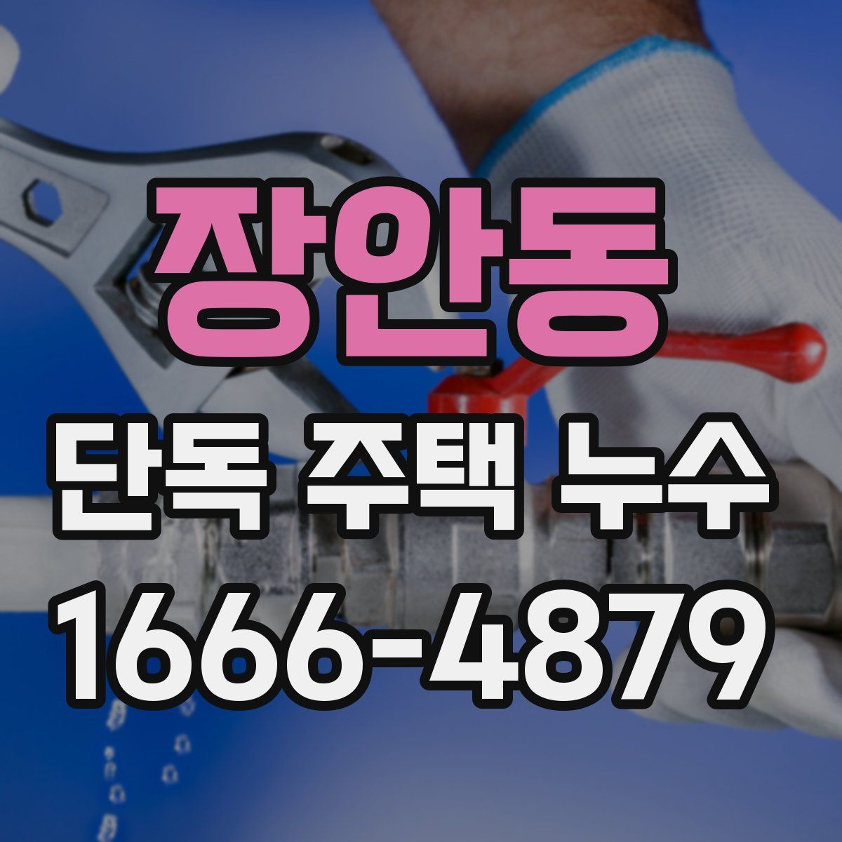 장안동 단독 주택 누수