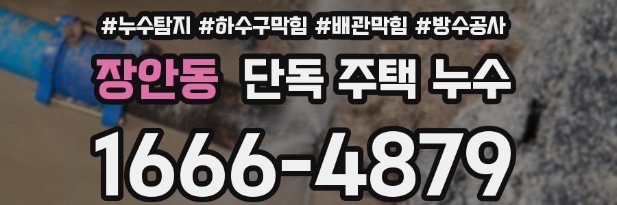 장안동 단독 주택 누수