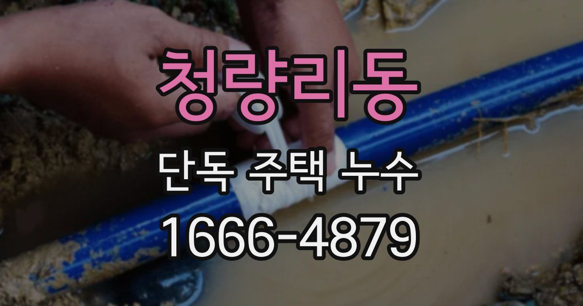 청량리동 단독 주택 누수