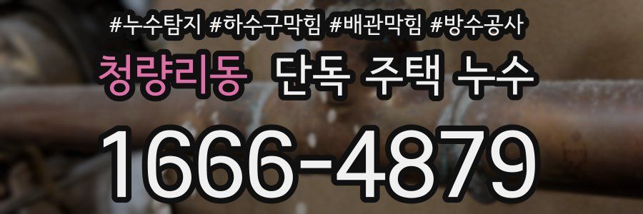 청량리동 단독 주택 누수