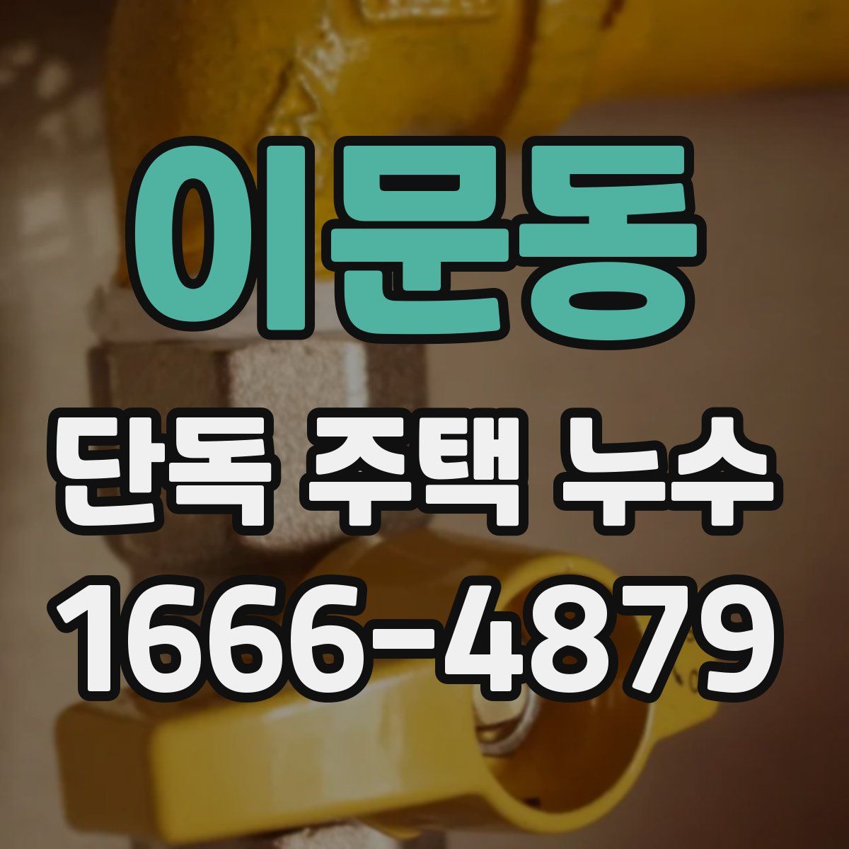이문동 단독 주택 누수
