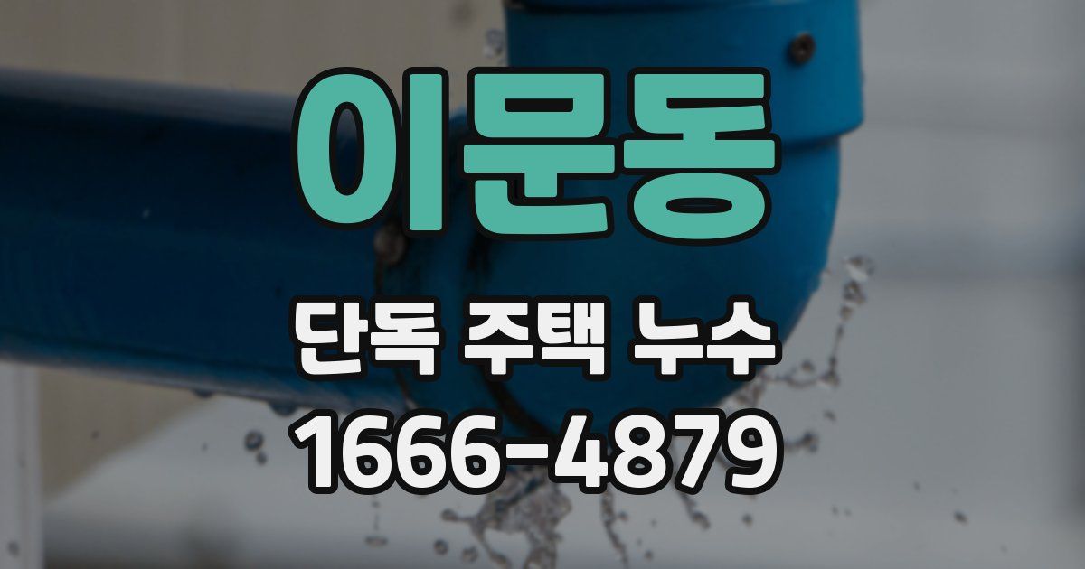 이문동 단독 주택 누수