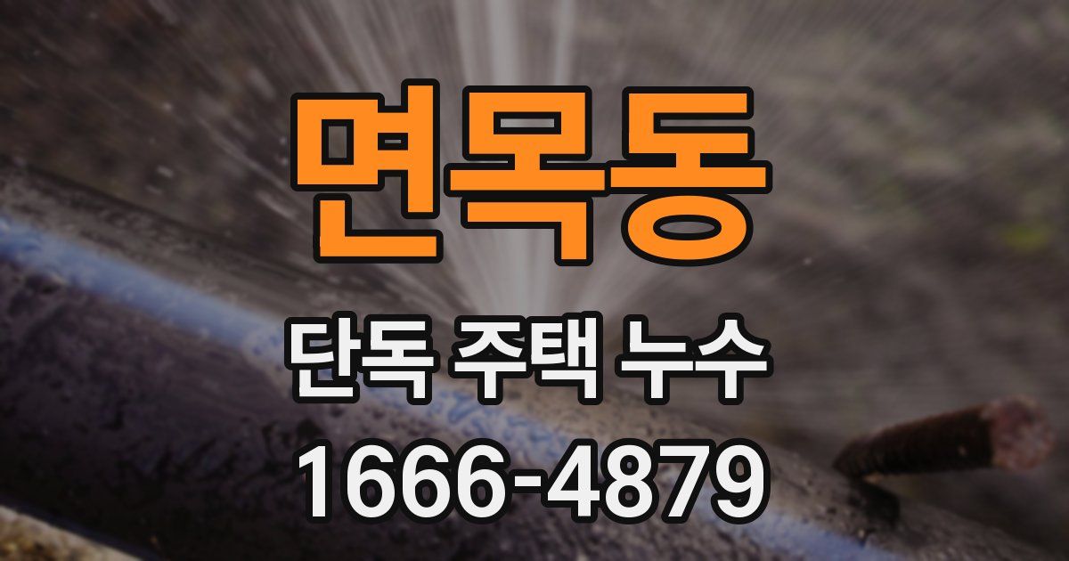 면목동 단독 주택 누수
