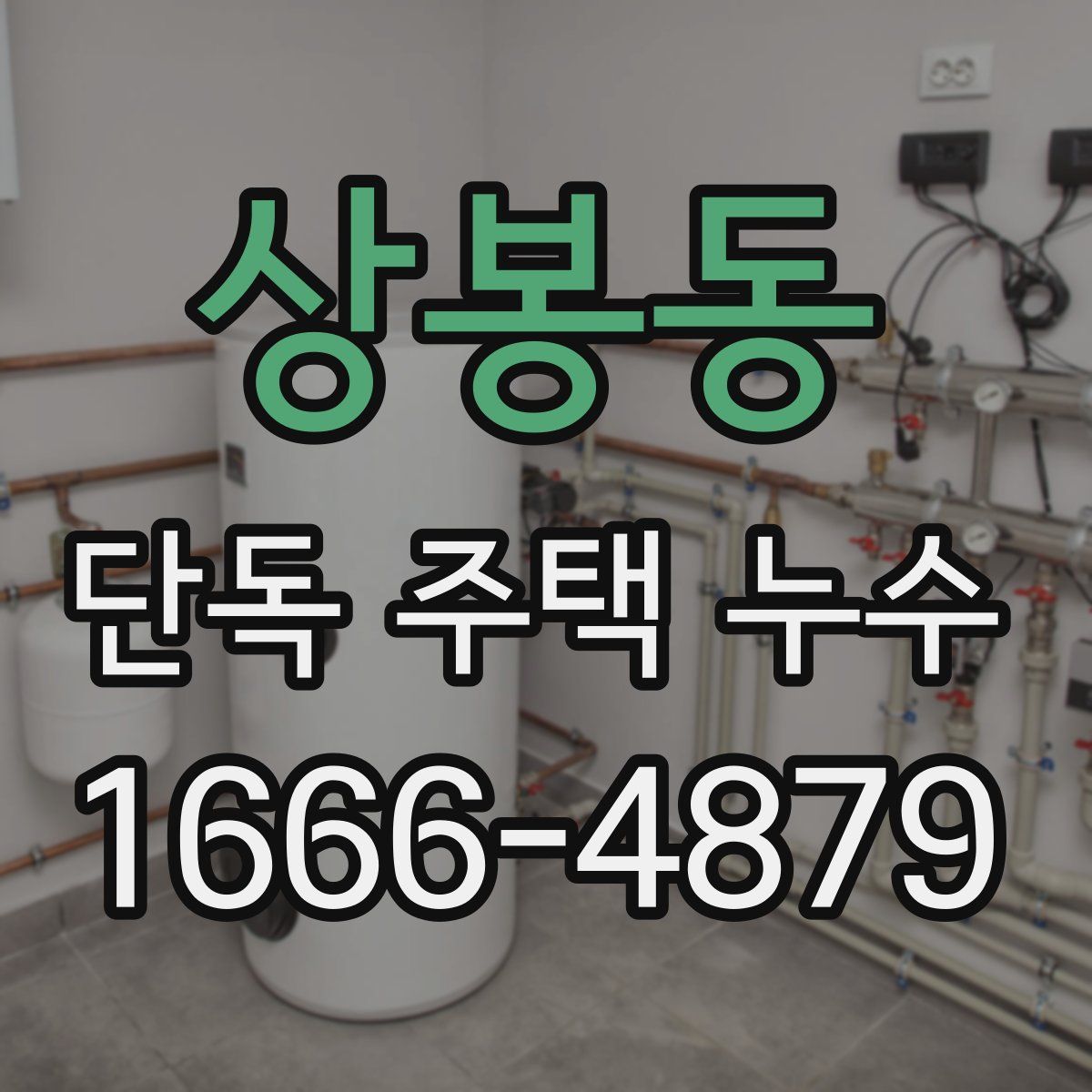 상봉동 단독 주택 누수