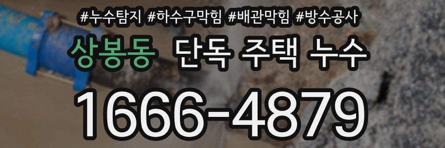 상봉동 단독 주택 누수