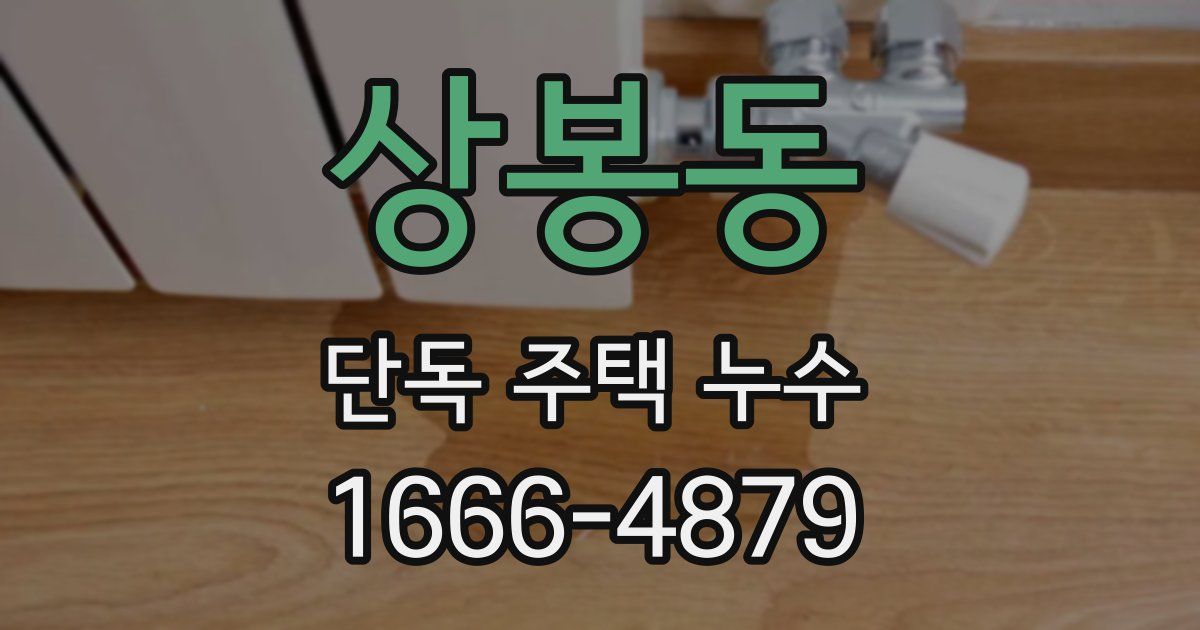 상봉동 단독 주택 누수