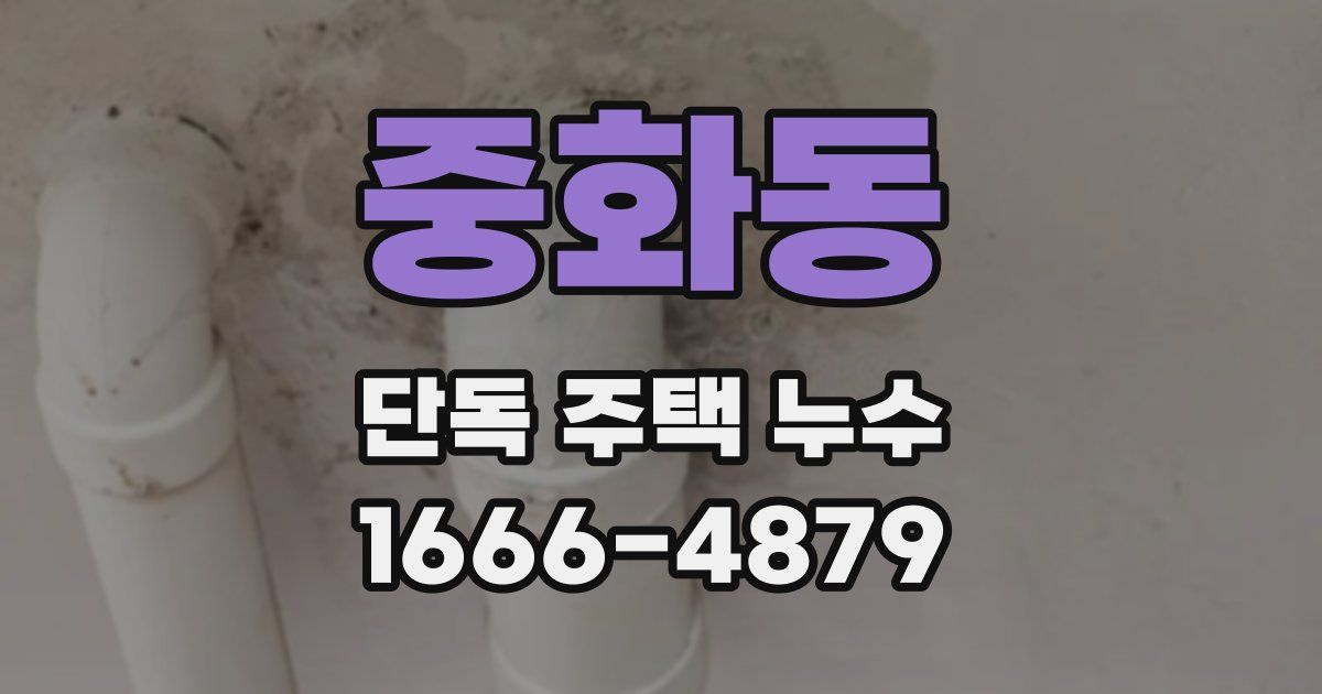 중화동 단독 주택 누수