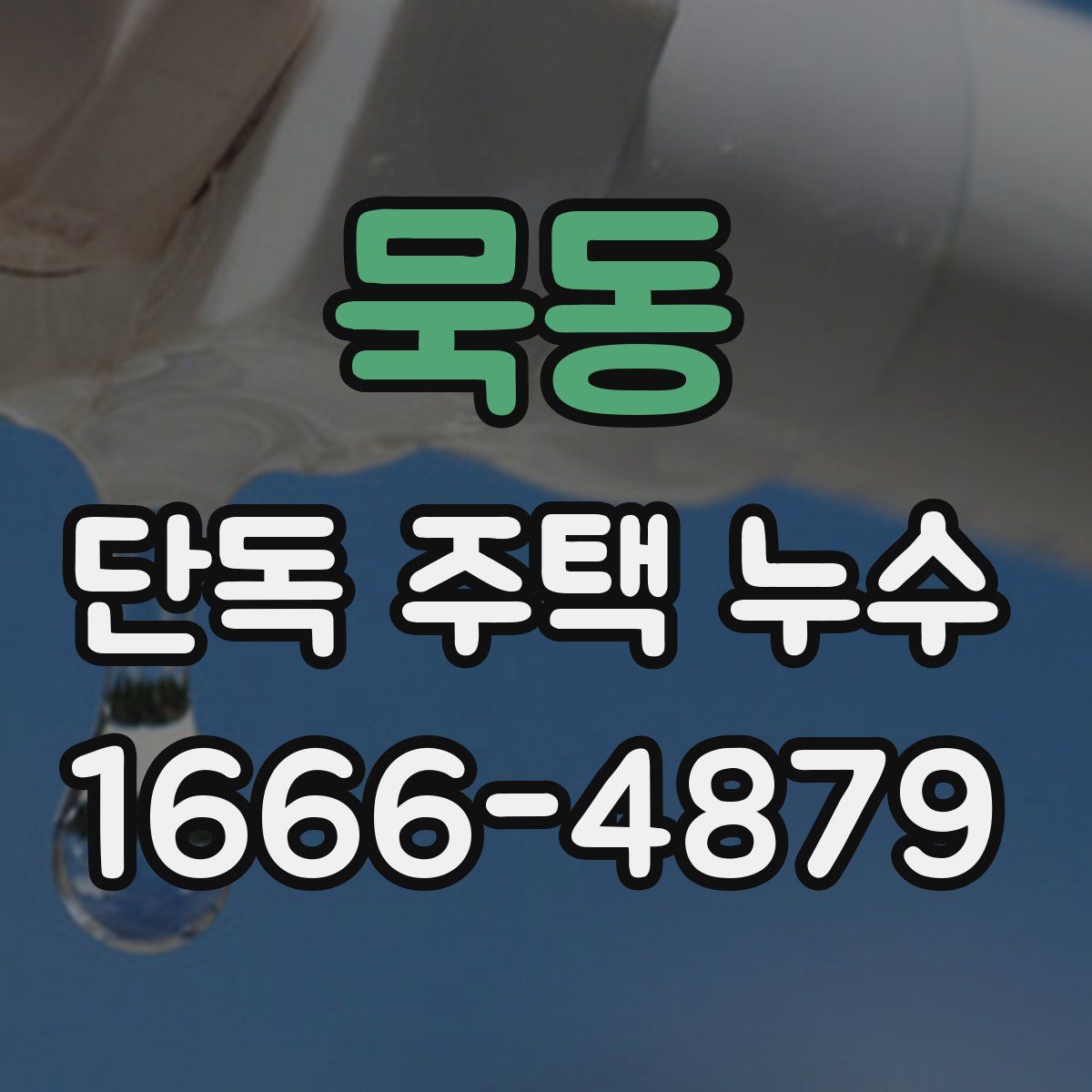 묵동 단독 주택 누수