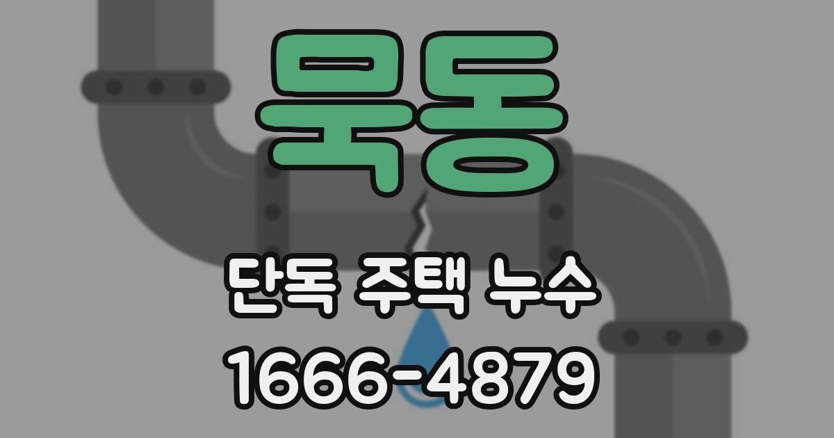 묵동 단독 주택 누수