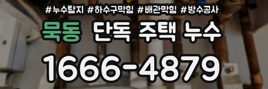 묵동 단독 주택 누수