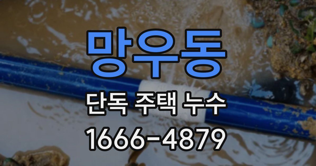 망우동 단독 주택 누수