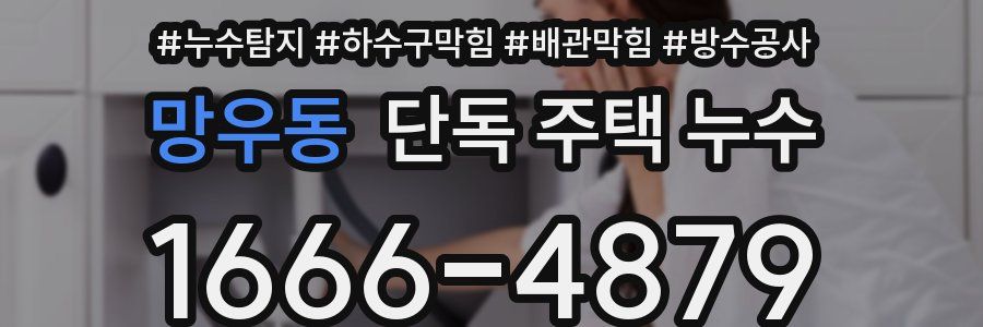 망우동 단독 주택 누수