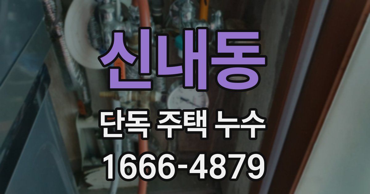신내동 단독 주택 누수