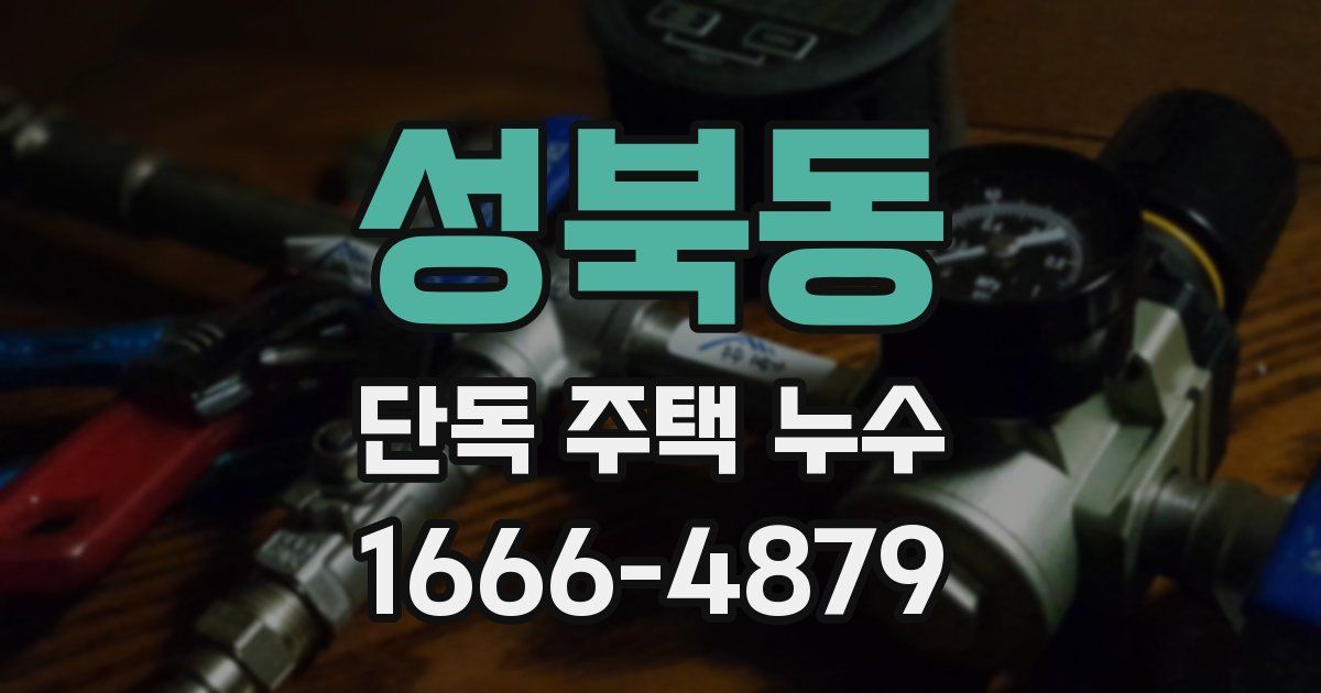 성북동 단독 주택 누수