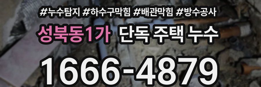성북동1가 단독 주택 누수