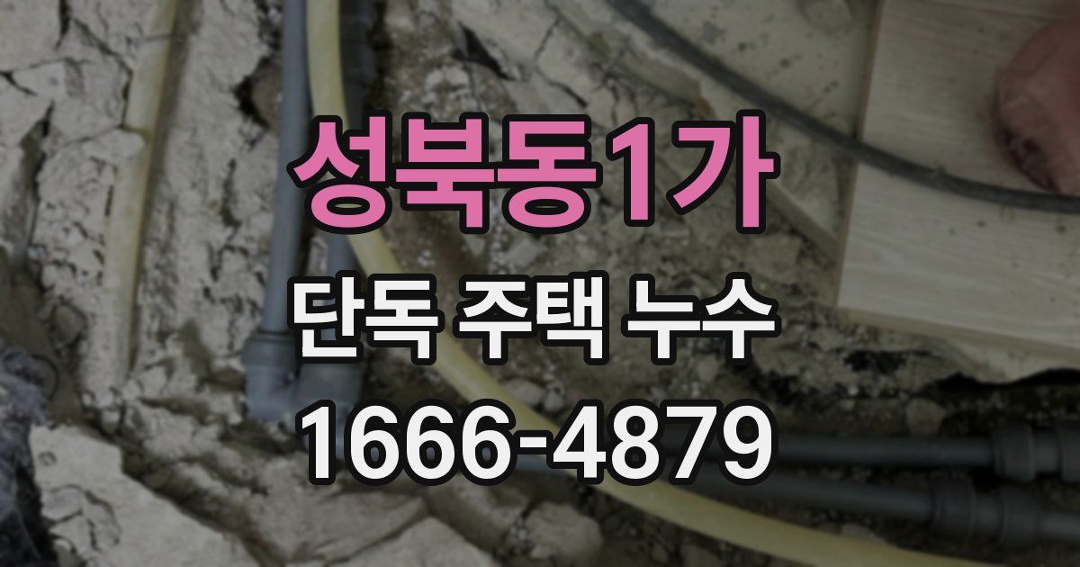 성북동1가 단독 주택 누수