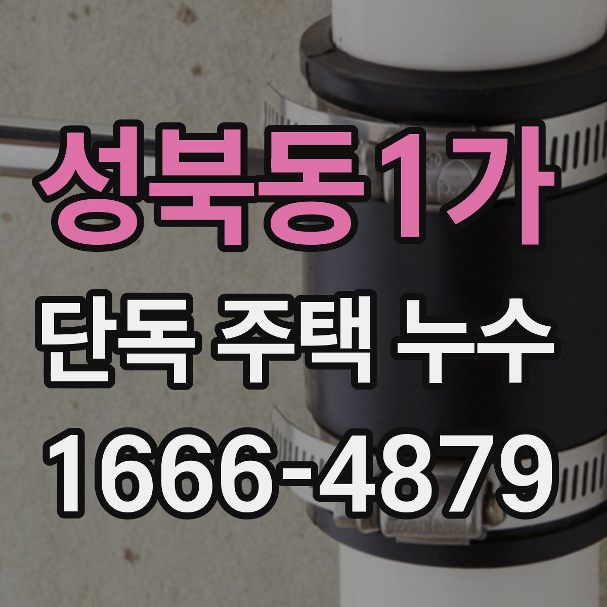 성북동1가 단독 주택 누수
