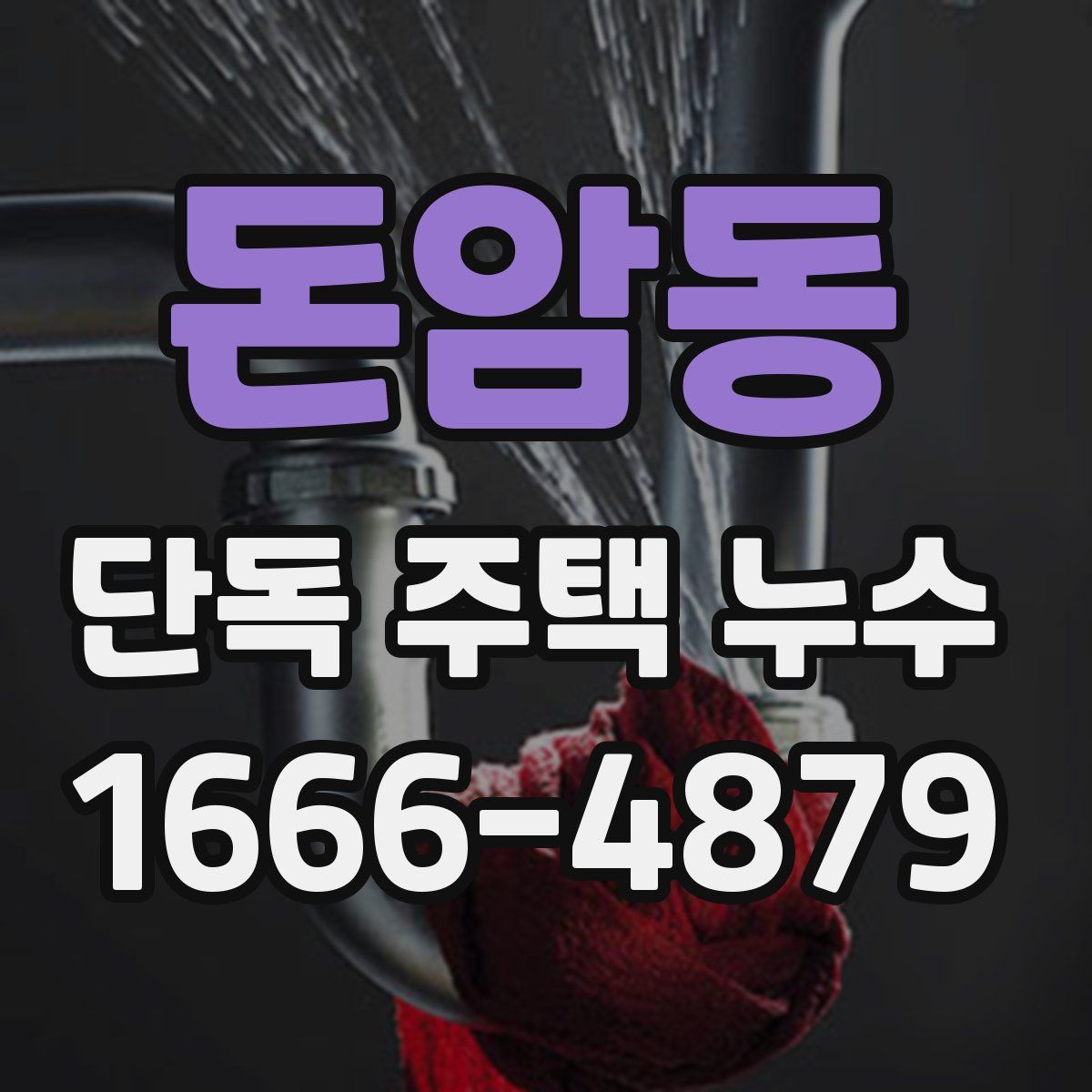 돈암동 단독 주택 누수