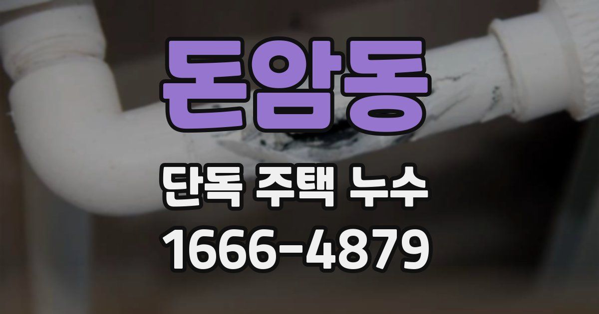돈암동 단독 주택 누수