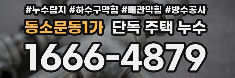 동소문동1가 단독 주택 누수