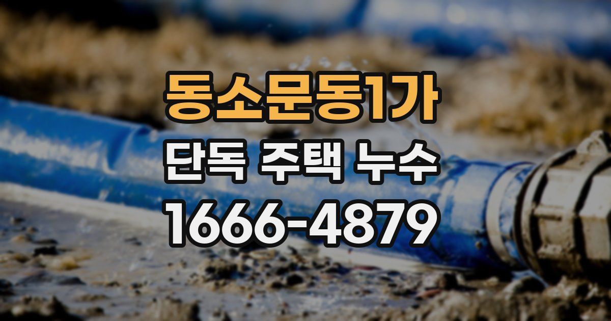 동소문동1가 단독 주택 누수