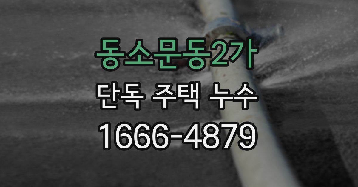 동소문동2가 단독 주택 누수