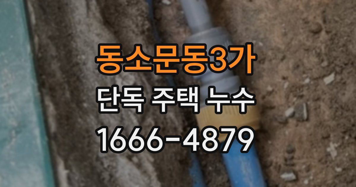 동소문동3가 단독 주택 누수