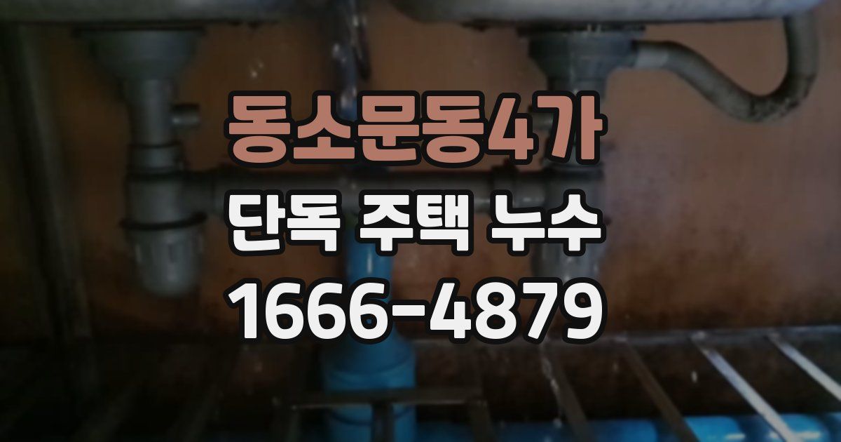 동소문동4가 단독 주택 누수