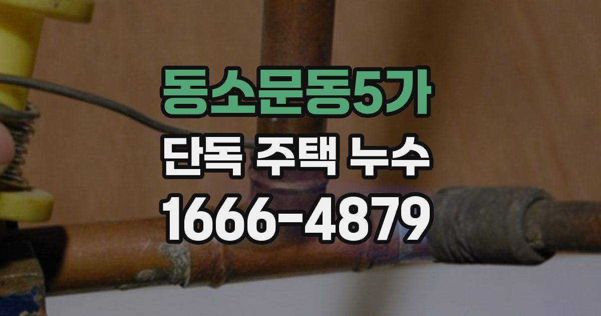 동소문동5가 단독 주택 누수