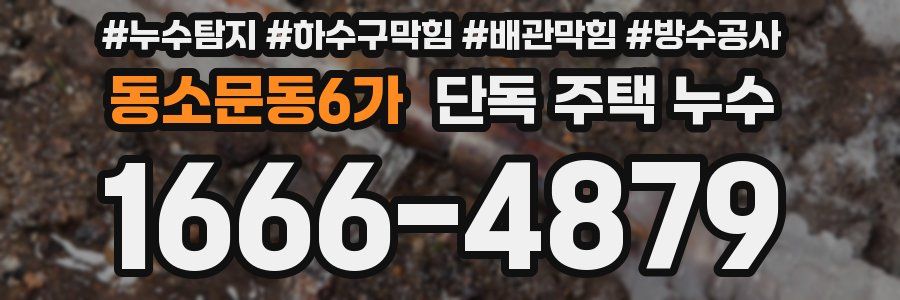 동소문동6가 단독 주택 누수