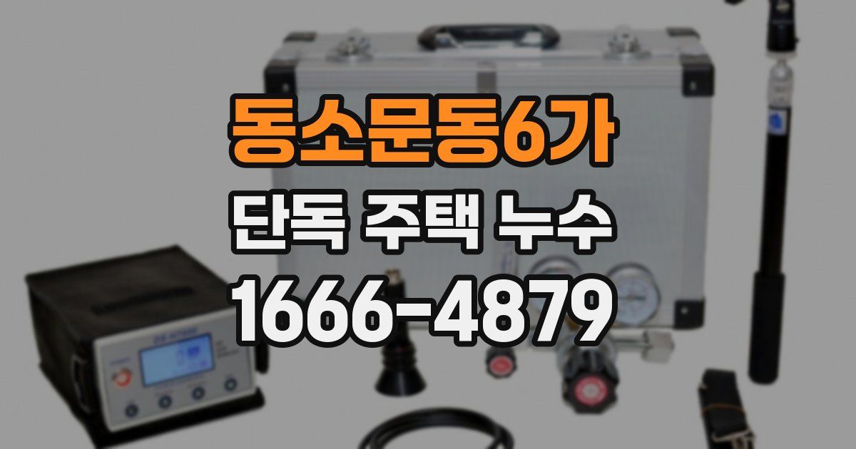 동소문동6가 단독 주택 누수