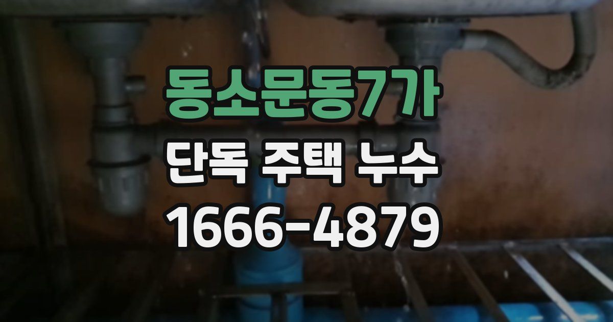 동소문동7가 단독 주택 누수