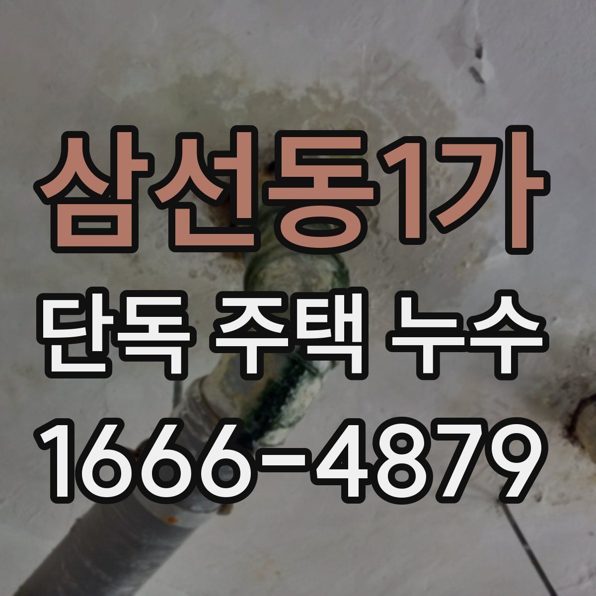 삼선동1가 단독 주택 누수