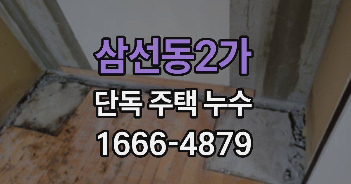 삼선동2가 단독 주택 누수