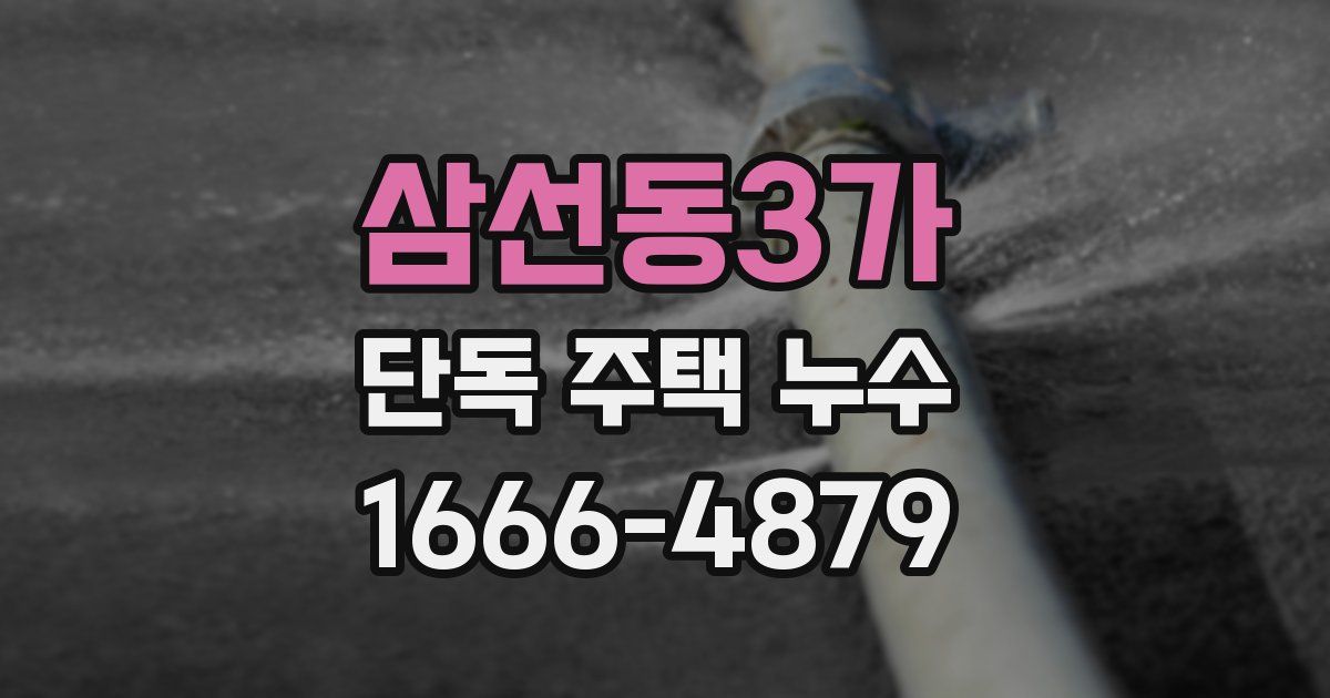 삼선동3가 단독 주택 누수