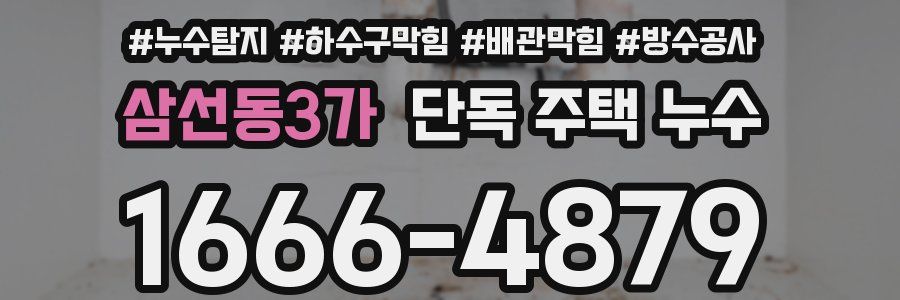 삼선동3가 단독 주택 누수