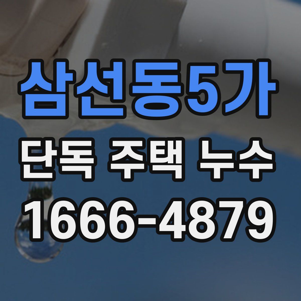 삼선동5가 단독 주택 누수