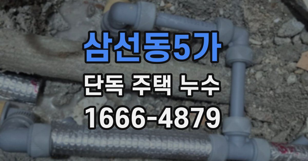 삼선동5가 단독 주택 누수