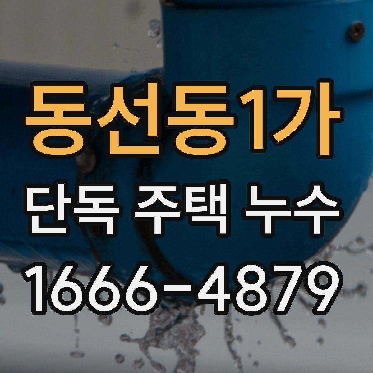 동선동1가 단독 주택 누수