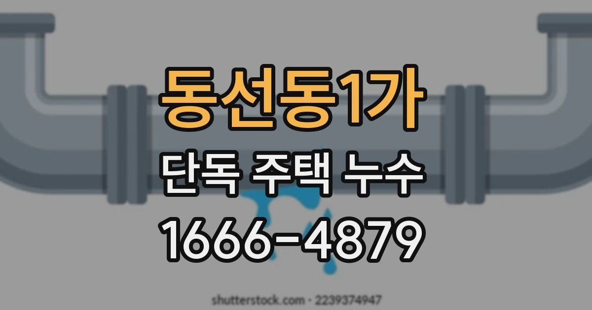 동선동1가 단독 주택 누수