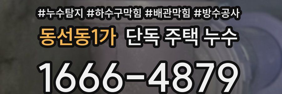 동선동1가 단독 주택 누수