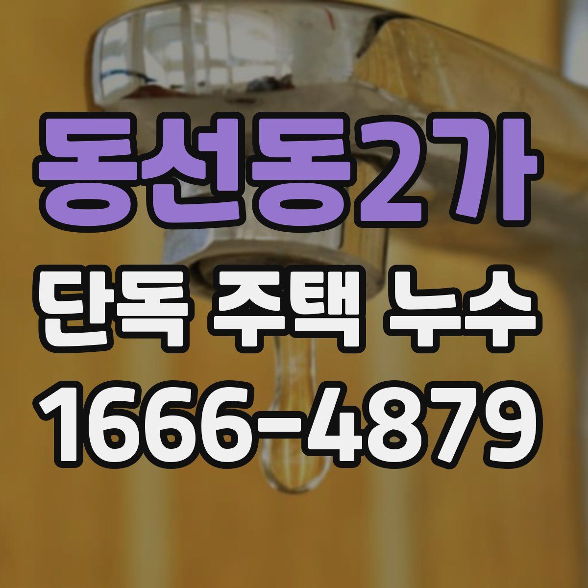 동선동2가 단독 주택 누수