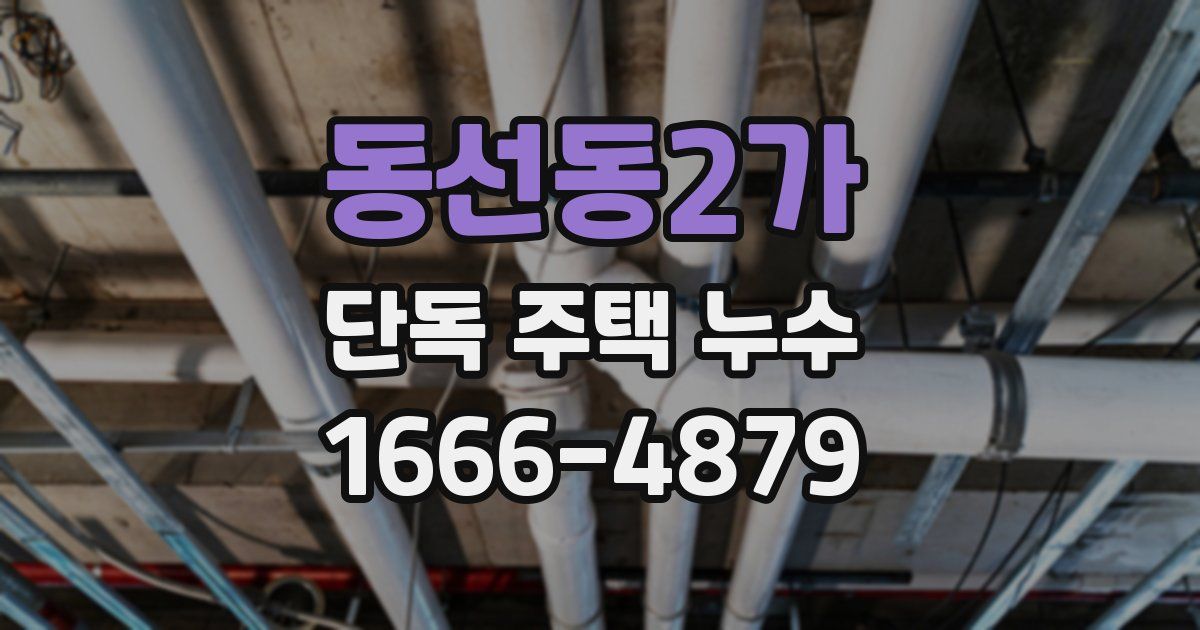 동선동2가 단독 주택 누수