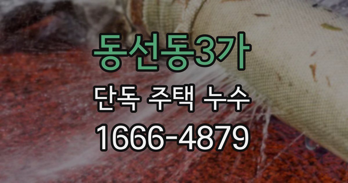 동선동3가 단독 주택 누수