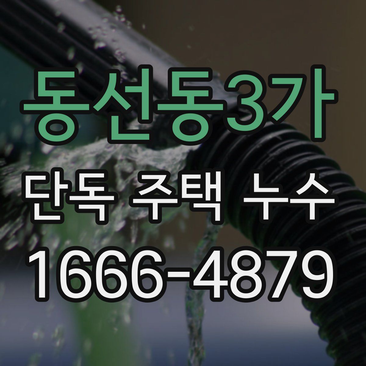 동선동3가 단독 주택 누수