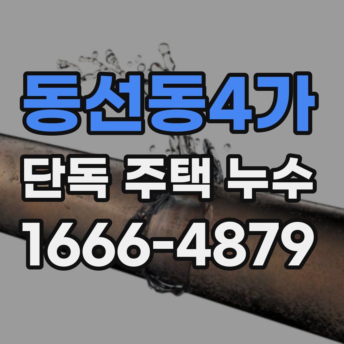 동선동4가 단독 주택 누수