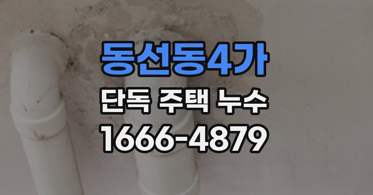 동선동4가 단독 주택 누수
