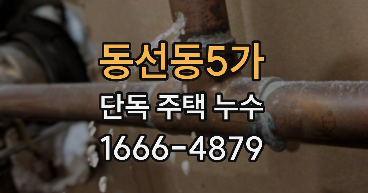 동선동5가 단독 주택 누수