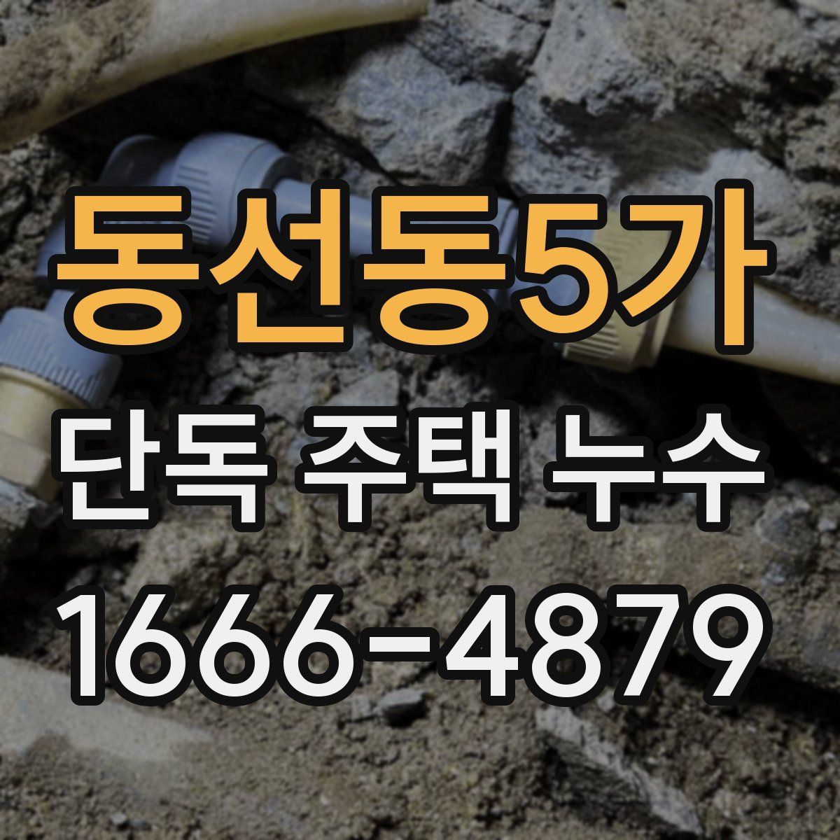 동선동5가 단독 주택 누수